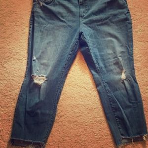 LOFT Plus Size Distressed Jeans